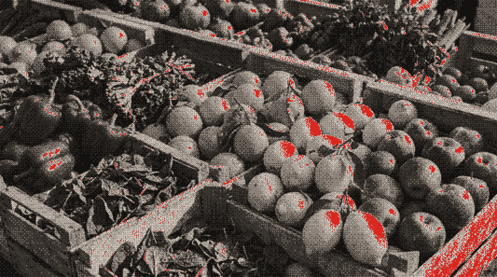 Wooden crates of fresh fruit and vegetables in sunlight (illustrative)